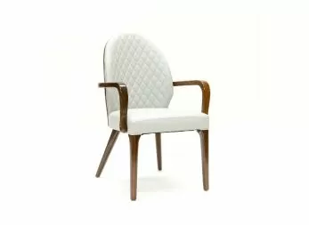 Dazola Dining Chair